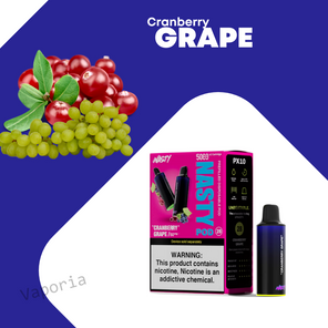 Cartouche Nasty 5000 Puffs - Vaporia