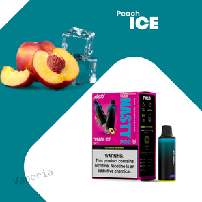 Cartouche Nasty 5000 Puffs - Vaporia