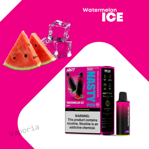 Cartouche Nasty 5000 Puffs - Vaporia