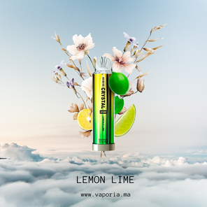 SKE Crystal Bar 4500 - Vaporia