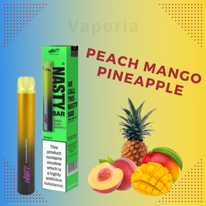 Nasty DX2 600 Puffs 2% - Vaporia