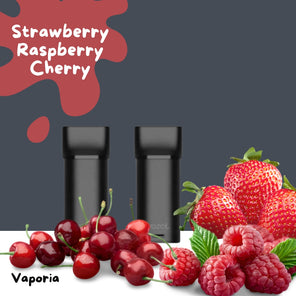 Cartouche Vozol Switch 700 - Vaporia