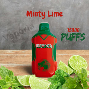 Waka Kick 15000 Puffs - Vaporia