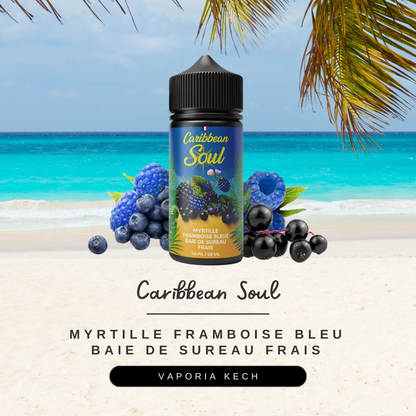 E-liquide Caribbean Soul 100ml - Vaporia