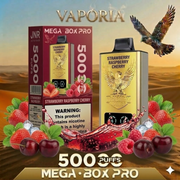 JNR Mega Box 50000 Puffs 2%