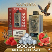 JNR Mega Box 50000 Puffs 2%