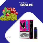 Cartouche Nasty 5000 Puffs - Vaporia