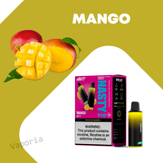 Cartouche Nasty 5000 Puffs - Vaporia