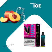 Cartouche Nasty 5000 Puffs - Vaporia