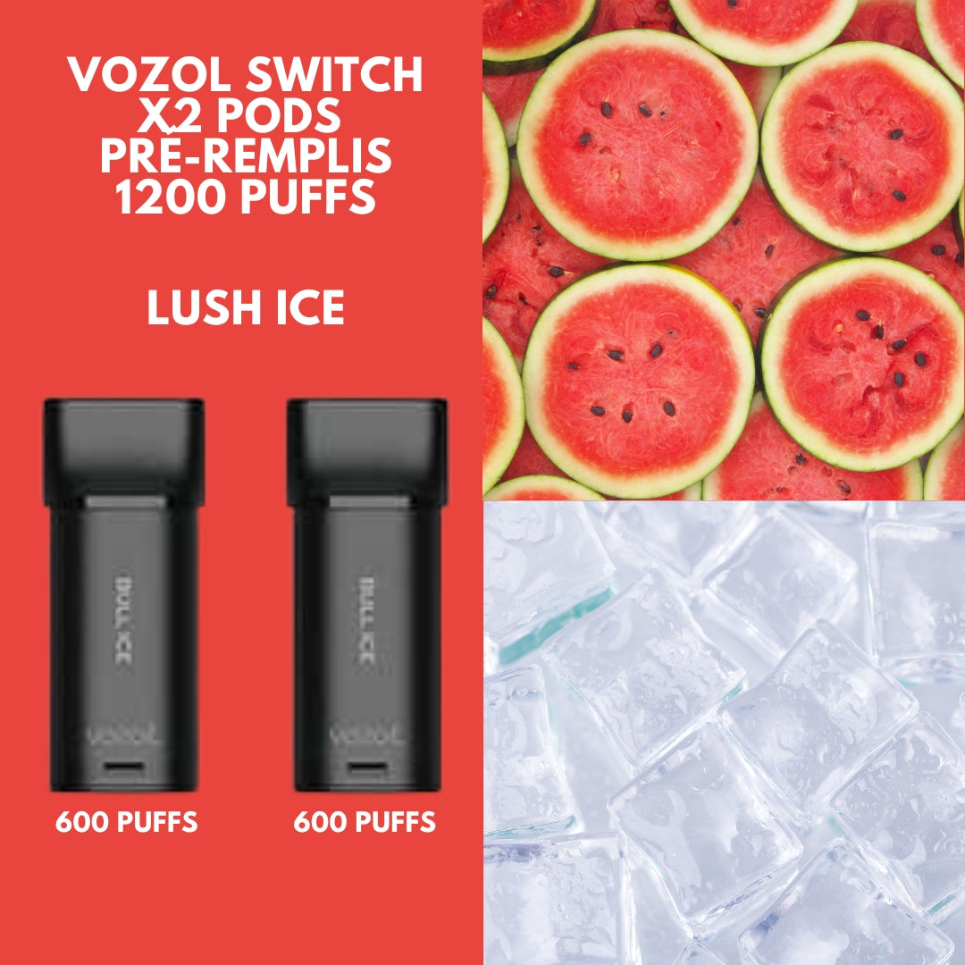 Vozol Switch 600 x2 Pods Pré-remplis Lush Ice