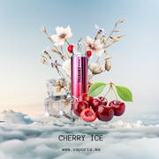 SKE Crystal Bar 4500 - Vaporia