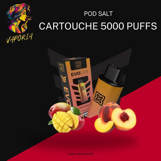 pod salt 5000 cartouche